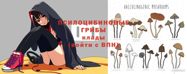 таблы Белокуриха