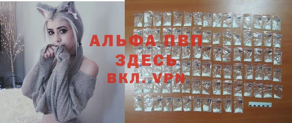 тгк Беломорск
