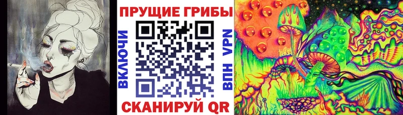 Псилоцибиновые грибы Cubensis  Белозерск 