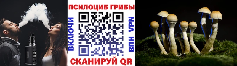 Псилоцибиновые грибы Magic Shrooms Белозерск